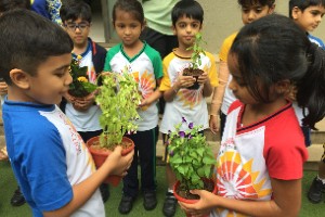 green initiative at top high school in Mumbai